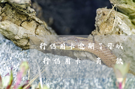 農行信用卡逾期了，可以協商減免利息嗎-欠農行信用卡協商還款
