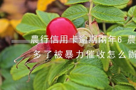 農行信用卡逾期兩年6 農行信用卡逾期兩年多了被暴力催收怎么辦