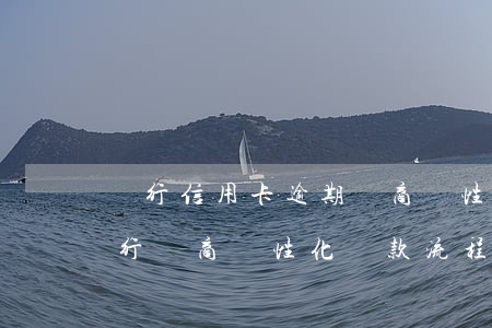 農行信用卡逾期協商個性化分期成功的-農行協商個性化還款流程
