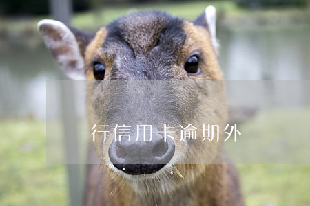 農行信用卡逾期外訪
