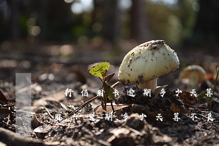 農行信用卡逾期多少天算不良記錄-農行信用卡逾期多少天算不良記錄呢