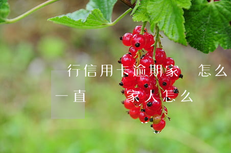 農行信用卡逾期家訪怎么辦(信用卡逾期銀行一直騷擾家人怎么辦)
