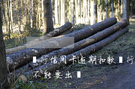農行信用卡逾期扣款(農行信用卡逾期扣款能不能要出來)