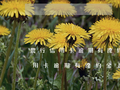 農行信用卡逾期有違約金上征信嗎-農行信用卡逾期有違約金上征信嗎怎么辦