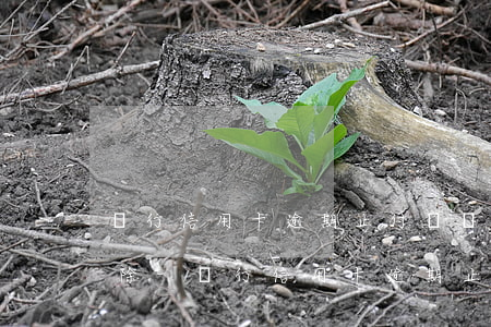 農行信用卡逾期止付狀態(tài)怎么消除-農行信用卡逾期止付狀態(tài)怎么消除記錄
