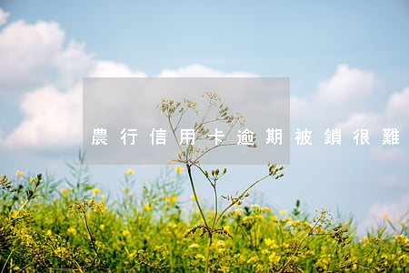 農行信用卡逾期被鎖很難解鎖 農行卡鎖了