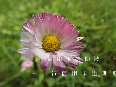 農行信用卡逾期被鎖怎么取出里面多余的錢-農行信用卡逾期被鎖怎么取出里面多余的錢呢