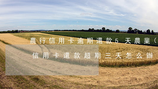 農行信用卡逾期還款5天(農業(yè)銀行信用卡還款超期三天怎么辦)