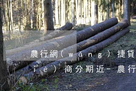 農行網(wǎng)捷貸還不了可以協(xié)商分期近-農行網(wǎng)捷貸還不了可以協(xié)商分期近期還款嗎