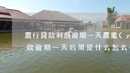 農行貸款利息逾期一天(農業(yè)銀行貸款逾期一天后果是什么,怎么補救)