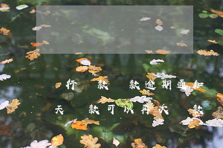 農行貸款還款逾期通知(農商銀行貸款逾期5天還款可以再次貸款嗎)