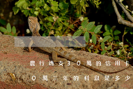 農行透支30萬的信用卡(農行信用卡貸款30萬,三年的利息是多少?)