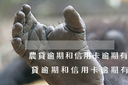 農貸逾期和信用卡逾期有啥區(qū)別(農貸逾期和信用卡逾期有啥區(qū)別沒)