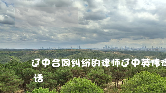 辽中合同纠纷的律师(辽中英伟律师事务所电话)