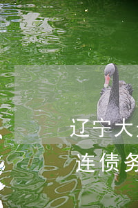 辽宁大连债务执行律师大概多少钱-辽宁大连债务执行律师大概多少钱一个月