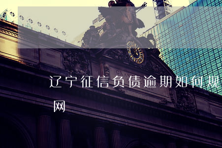 辽宁征信负债逾期如何规划还款-辽宁征信网