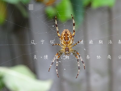 辽宁征信负债逾期法务协商公司-辽宁征信负债逾期法务协商公司有哪些