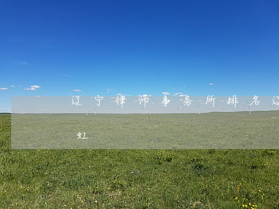 辽宁律师事务所排名(辽宁律师事务所排名新虹)