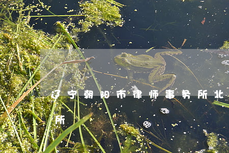 辽宁朝阳市律师事务所(北京朝阳市律师事务所)