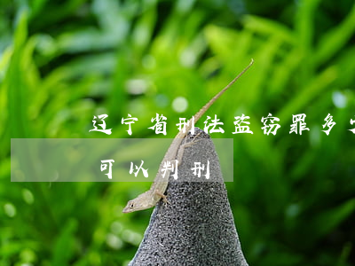 辽宁省刑法盗窃罪多少钱判刑(盗窃罪多少钱可以判刑)