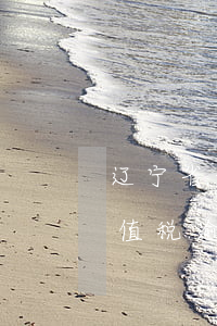 辽宁省增值税逾期申报怎么补报-辽宁省增值税逾期申报怎么补报的
