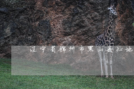 辽宁省锦州市黑山县征地补偿标准