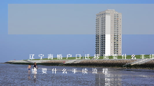 辽宁离婚户口迁移需要什么手续(辽宁迁户口需要什么手续流程)