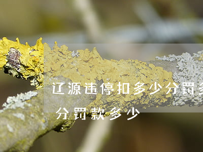 辽源违停扣多少分罚多少钱(沈阳违停扣多少分罚款多少)