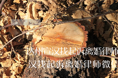 达州宣汉找起诉离婚律师微信咨询-达州宣汉找起诉离婚律师微信咨询电话