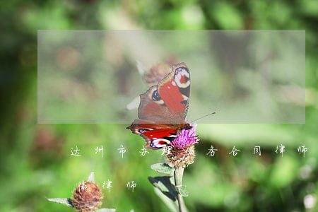 达州市办理债务合同律师费用咨询-达州追债律师