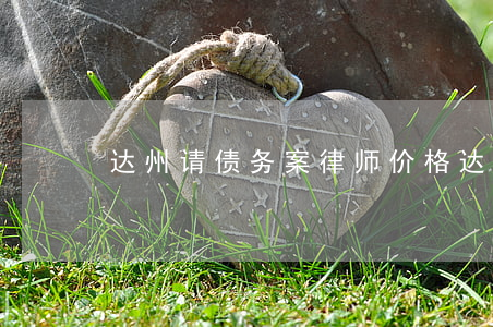 达州请债务案律师价格(达州律师电话号码)