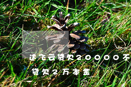 达飞云贷欠20000不还会咋样-达飞云贷欠2万本金