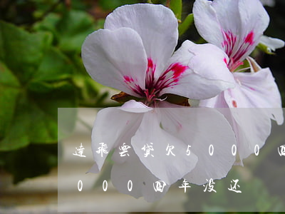 达飞云贷欠5000四年没还(达飞云贷欠5000四年没还)