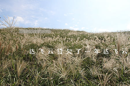 达飞云贷欠了一年(达飞云贷还存在吗)