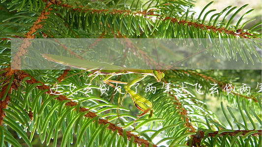 达飞云贷欠了两年(达飞云贷两年没还了)