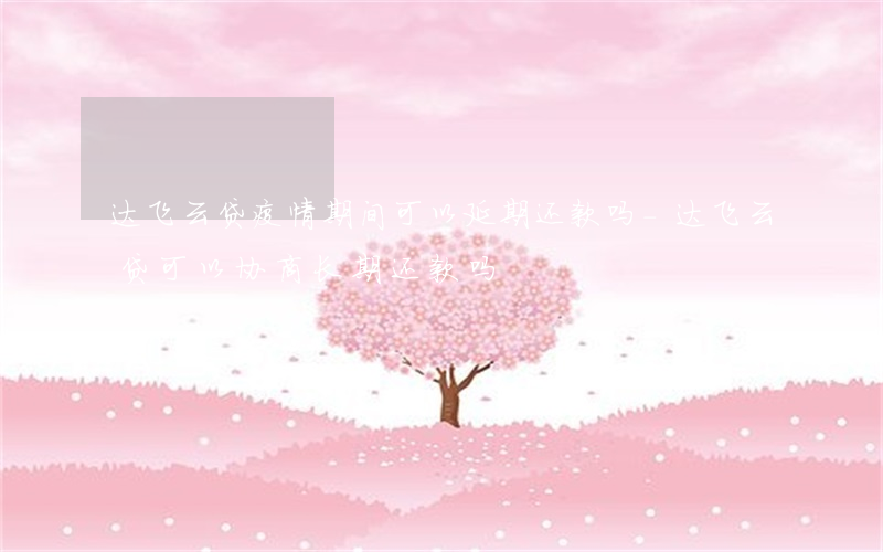 达飞云贷疫情期间可以延期还款吗-达飞云贷可以协商长期还款吗