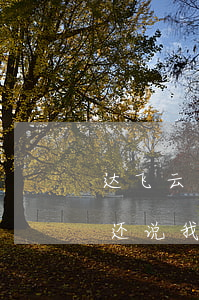 达飞云贷还欠我的钱(达飞云贷还完了,为什么还说我没还完)