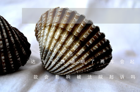达飞云贷逾期了两年会起诉吗(达飞云贷不还款会影响被法院起诉吗?)