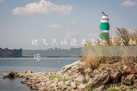 达飞只让还本金(达飞金融协商还本金是真的吗)