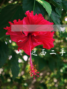 迁西二手房