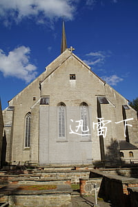 迅雷下載成人