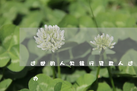 过世的人欠银行贷款(人过世了欠的贷款怎么办)