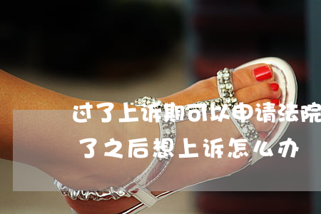 过了上诉期可以申请法院调查吗(上诉期限过了之后想上诉怎么办)