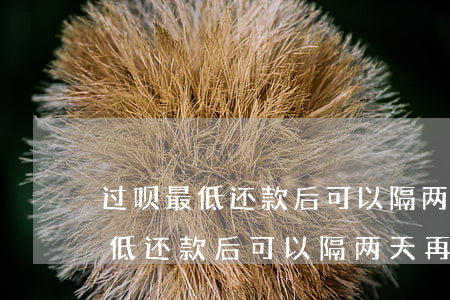 过呗最低还款后可以隔两天再还吗-过呗最低还款后可以隔两天再还吗