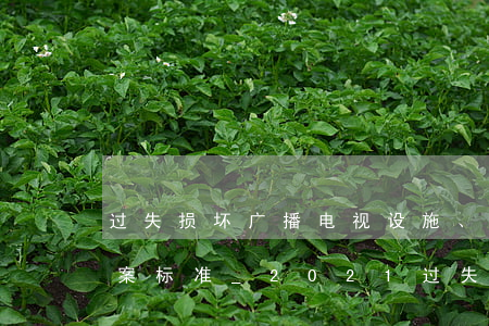 过失损坏广播电视设施、公用电信设施罪立案标准_2021过失损坏广播电视设施、公用电信设施罪量刑标准和