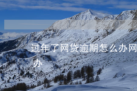 过年了网贷逾期怎么办(网贷逾期半年了怎么办)