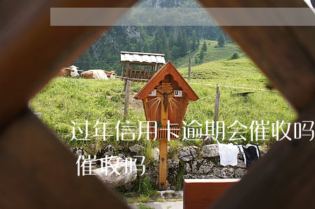 过年信用卡逾期会催收吗 过年信用卡逾期会催收吗