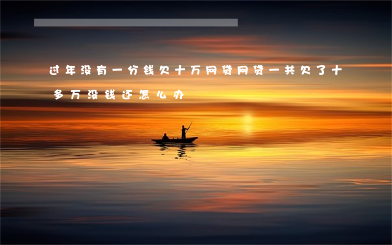 过年没有一分钱欠十万网贷(网贷一共欠了十多万没钱还怎么办)