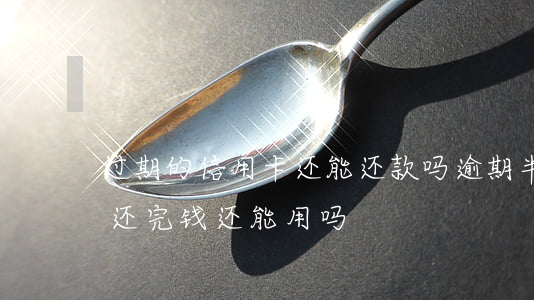 过期的信用卡还能还款吗（逾期半年的信用卡还完钱还能用吗）