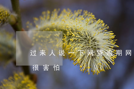 过来人说一下网贷逾期(网贷逾期两年了现在很害怕)